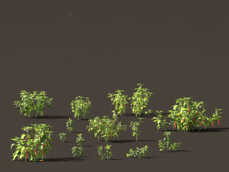 Capsicum annuum - Bell pepper 3D मॉडल .c4d .max .obj .3ds .fbx .stl .blend 