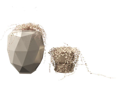 Ceropegia woodii - sweetheart vine 3D Model