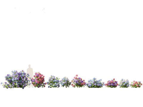 Hydrangea macrophylla - Bigleaf hydrangea 3D Модель