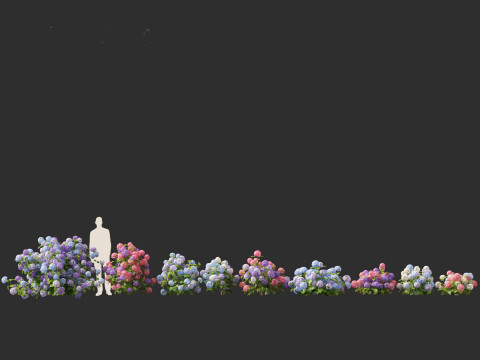 Hydrangea macrophylla - Bigleaf hydrangea 3D Модель