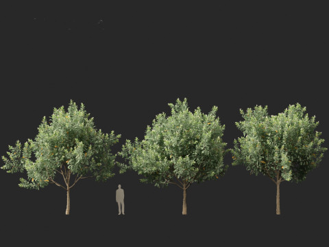 Loquat - Bigleaf hydrangea Tree 3D Модель