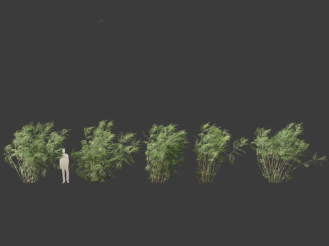 Chamaedorea seifrizii - Bamboepalm 07 3D Model