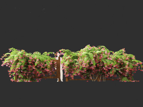 Combretum indicum - Rangoon Creeper Modelo 3D