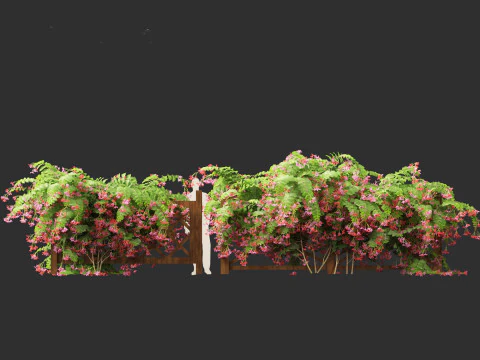 Combretum indicum - Rangoon Creeper 3D Model
