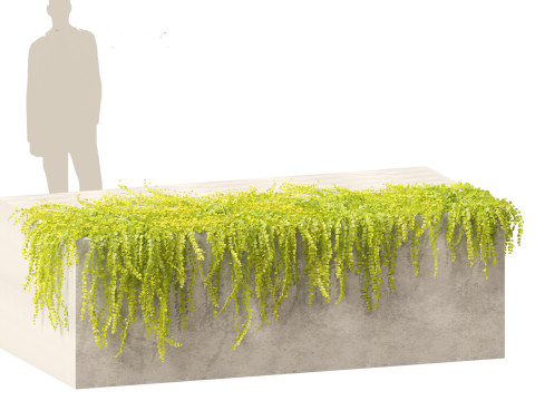Lysimachia nummularia - Moneywort Modelo 3D