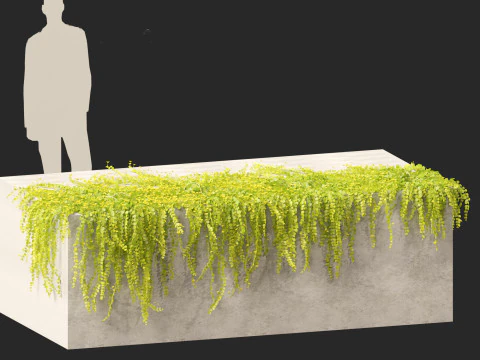 Lysimachia nummularia - Moneywort 3D Model