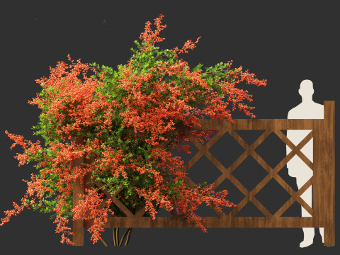 Pyracantha coccinea - Scarlet firethorn 02 3D 모델