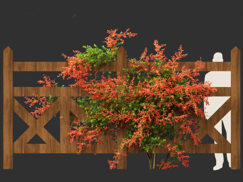 Pyracantha coccinea - Scarlet firethorn 02 3D 모델
