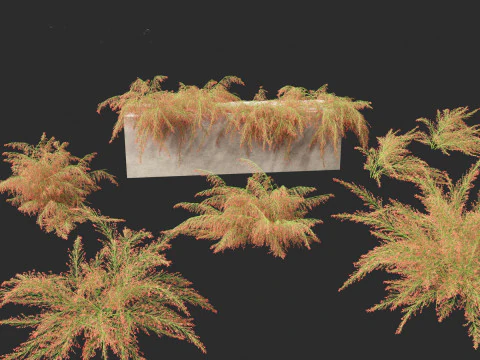 Russelia equisetiformis - foguete de planta coral Modelo 3D