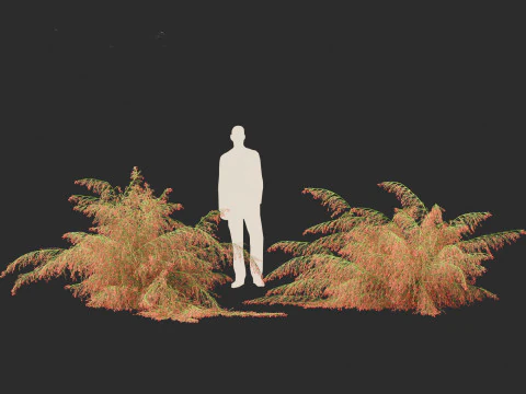 Russelia equisetiformis - foguete de planta coral Modelo 3D