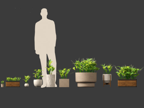 Convallaria majalis - lily-of-the-valley 02 3D Model