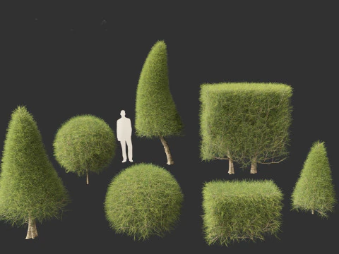Casuarina equisetifolia - Australian pine tree 3D Model
