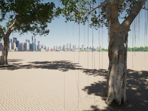 Ficus microcarpa- Malayan Banyan Modelo 3D