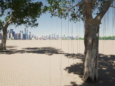 Ficus microcarpa- Malayan Banyan 3D Model