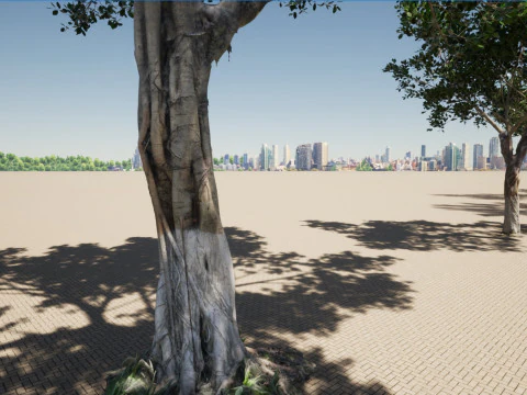 Ficus microcarpa- Malayan Banyan 3D Model