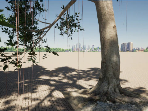 Ficus microcarpa- Malayan Banyan 3D Model