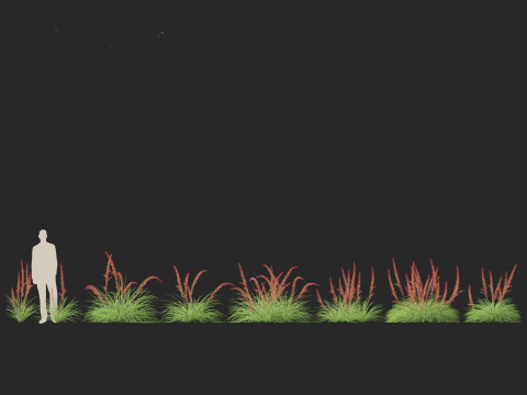 Hesperaloe parviflora - Redflower false yucca Modello 3D