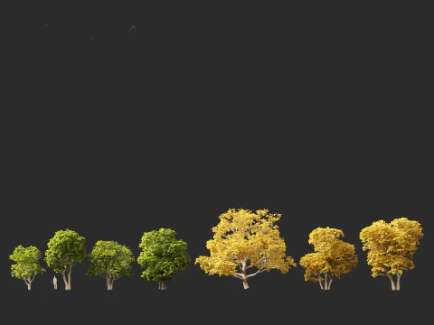 Ficus carica - Common fig 3D Model