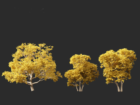 Ficus carica - Common fig 3D Model