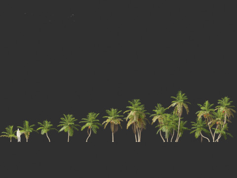 Bactris gasipaes - Peach Palm 3D Модель