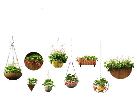 Fragaria - woodland strawberry 02 3D Model
