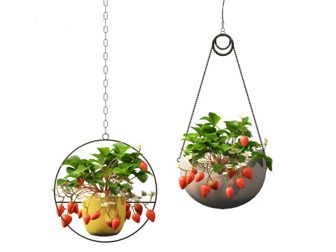 Fragaria - woodland strawberry 02 3D Model