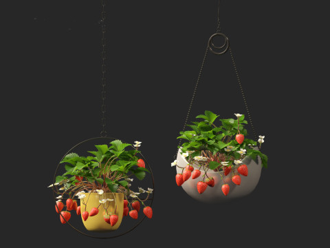 Fragaria - woodland strawberry 02 3D Model