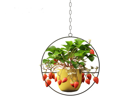 Fragaria - woodland strawberry 02 3D Model