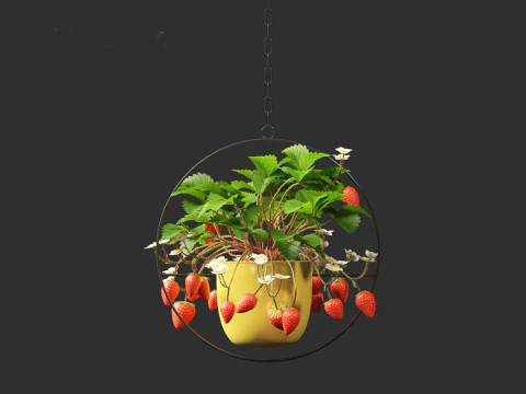 Fragaria - woodland strawberry 02 3D Model