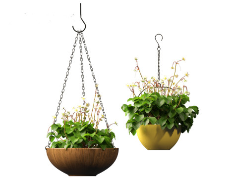 Fragaria - woodland strawberry 02 3D Model