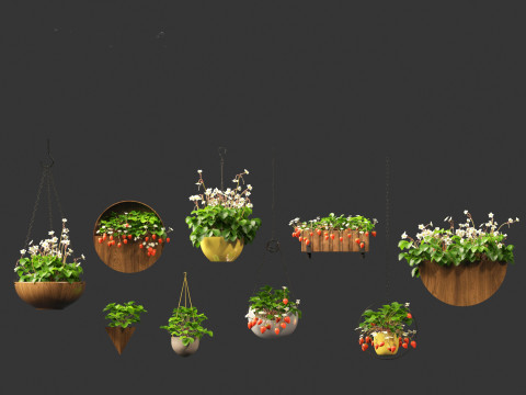 Fragaria - woodland strawberry 02 3D Model