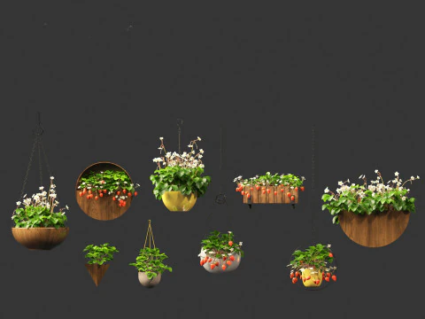 Fragaria - woodland strawberry 02 3D Model