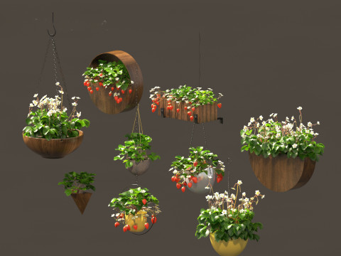 Fragaria - woodland strawberry 02 3D Model
