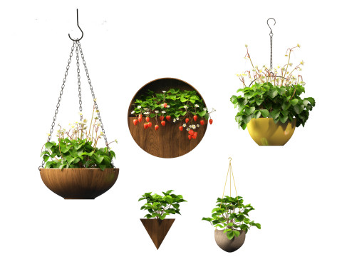 Fragaria - woodland strawberry 02 3D Model
