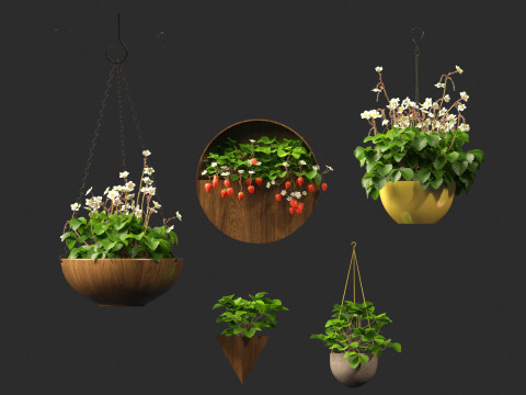 Fragaria - woodland strawberry 02 3D Model