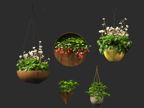 Fragaria - woodland strawberry 02 3D Model