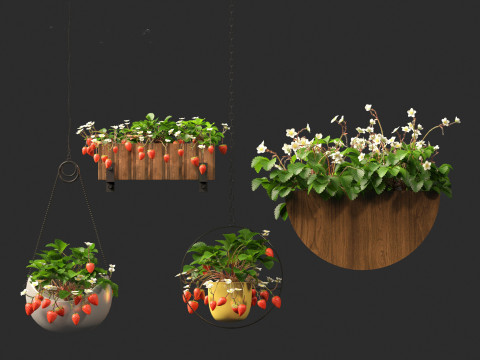 Fragaria - woodland strawberry 02 3D Model