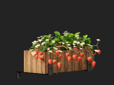 Fragaria - woodland strawberry 02 3D Model