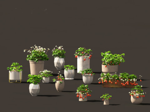 Fragaria - woodland strawberry 01 3D Model