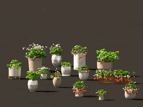 Fragaria - fragola di bosco 01 Modello 3D