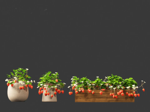 Fragaria - woodland strawberry 01 3D Модель