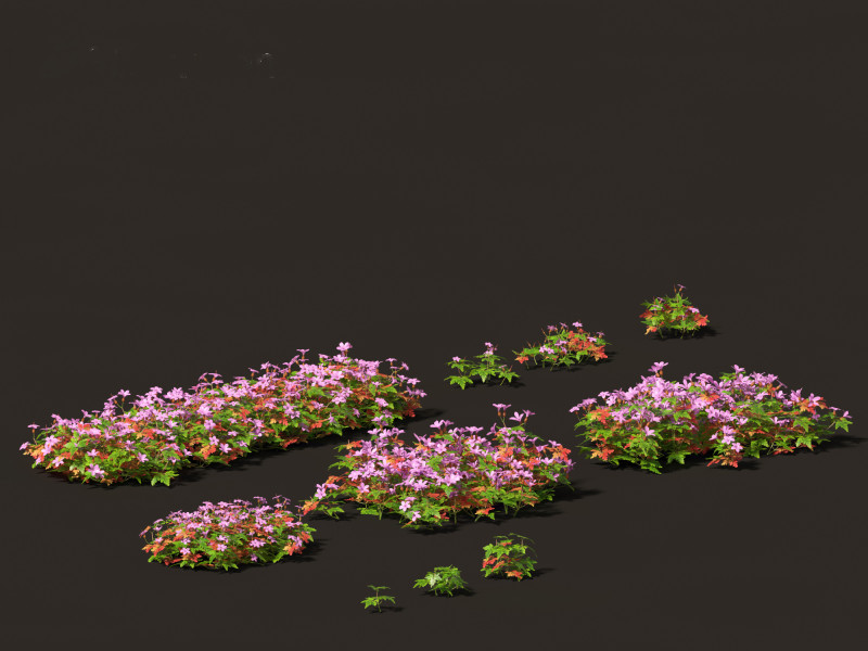 Geranium robertianum - herb-Robert 3Dモデル .c4d .max .obj .3ds .fbx .stl .blend 