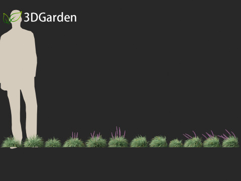 Ophiopogon japonicus - Mondo grass Modelo 3D