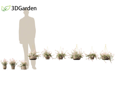 Trachelospermum asiaticum Hatsuyukikazura Modelo 3D