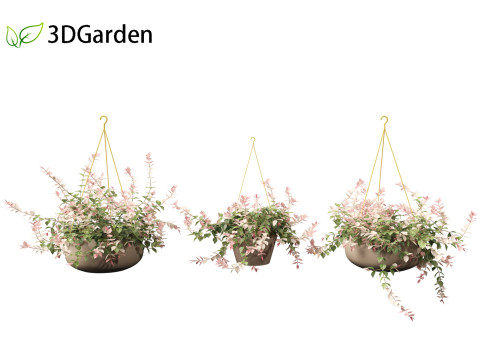 Trachelospermum asiaticum Hatsuyukikazura Modelo 3D