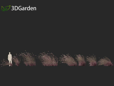 Andropogon gerardii - Grama grande de tronco azul 02 Modelo 3D