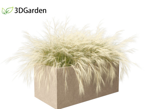 Nassella tenuissima - Mexican feather grass 03 Modelo 3D