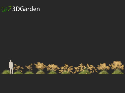 Stipa gigantea - Giant feather grass 01 3D Model