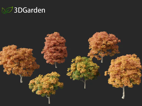 Aesculus glabra - Ohio buckeye 02 3D Model