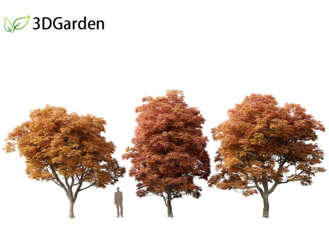 Aesculus glabra - Ohio buckeye 02 3D Модель